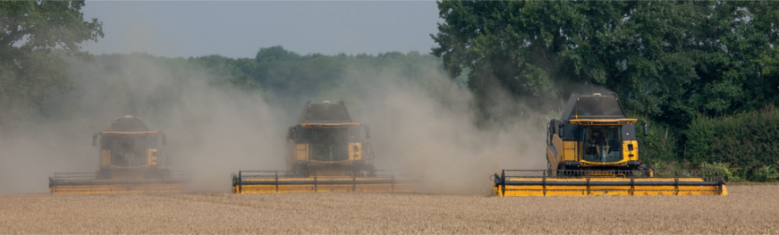 three combine harvesters at work