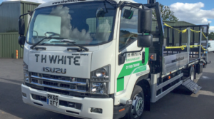 th white isuzu lorries