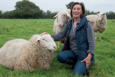 AN AWARD-WINNING SHEEP VENTURE