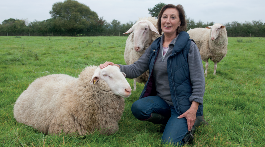 AN AWARD-WINNING SHEEP VENTURE