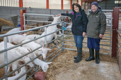 GREAT GOATS FOR FINE CHEESES