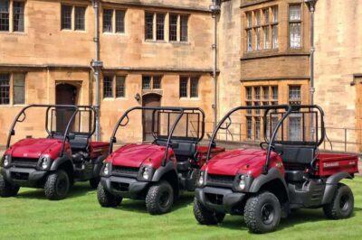 MULES GO TO UNIVERSITY