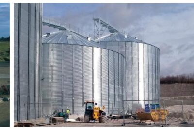 A PROMISING YEAR AHEAD FOR T H WHITE PROJECTS