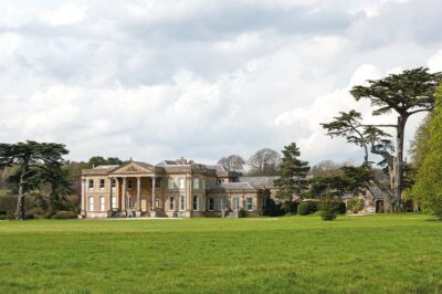 CONTROLLING THE CELL COUNTS