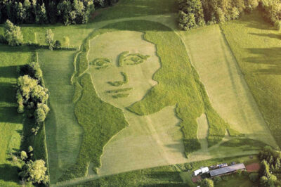 MOW-NA LISA: CREATED BY SPIDERS!