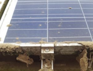 cleaning a solar panel