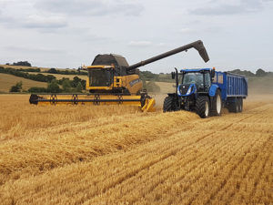 2017 harvest