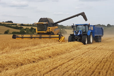 2017: A BETTER HARVEST?