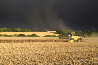 HARVEST PHOTO WINNER