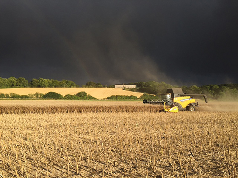 phillip soper harvest photo winner