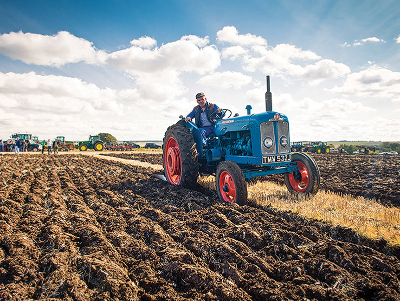 Avebury ploughing match