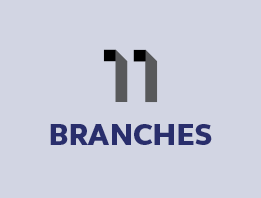 11 branches