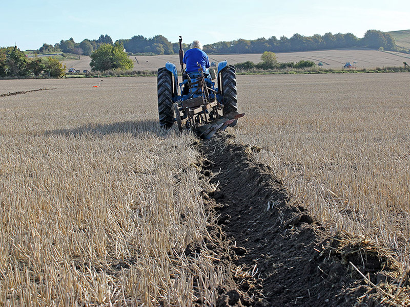 Tractor at Avebury Ploughing Match