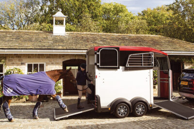 Horse being walked into a horsebox