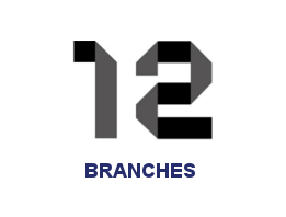 11 branches