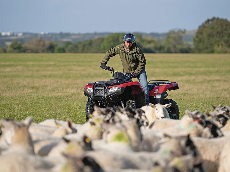 PREPARE FOR THE LAMBING SEASON WITH ATVs, UTVs AND TRAILERS