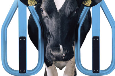 Best in the West for Dairy service!