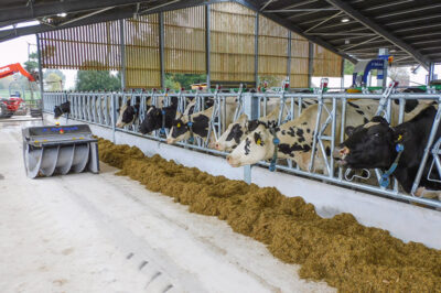 LACKHAM DAIRY EDUCATION UNIT NEARS COMPLETION