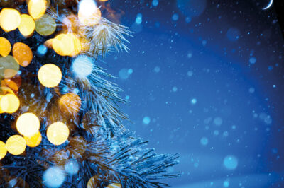 COUNTRY STORE CHRISTMAS 2020