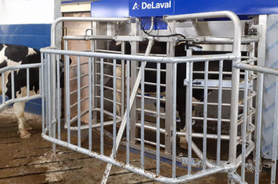 VMS LEADS THE WAY FOR NEW LACKHAM DAIRY COURSE
