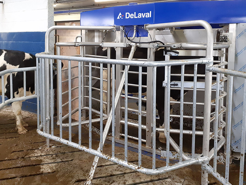 VMS LEADS THE WAY FOR NEW LACKHAM DAIRY COURSE