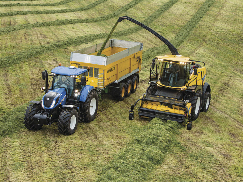 THROUGHPUT IS KING FOR FORAGE