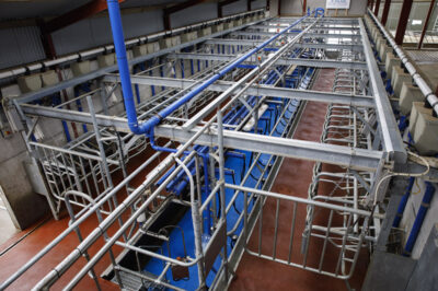 New P100 parallel parlour system from DeLaval
