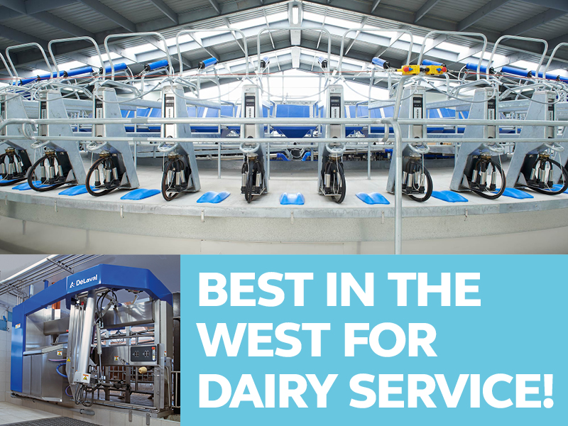 Best in the West for dairy service