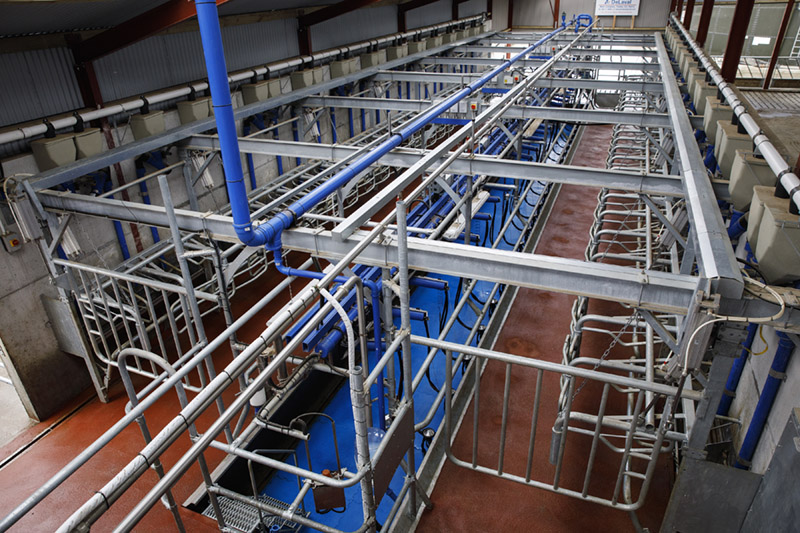 New P100 parallel parlour system from DeLaval