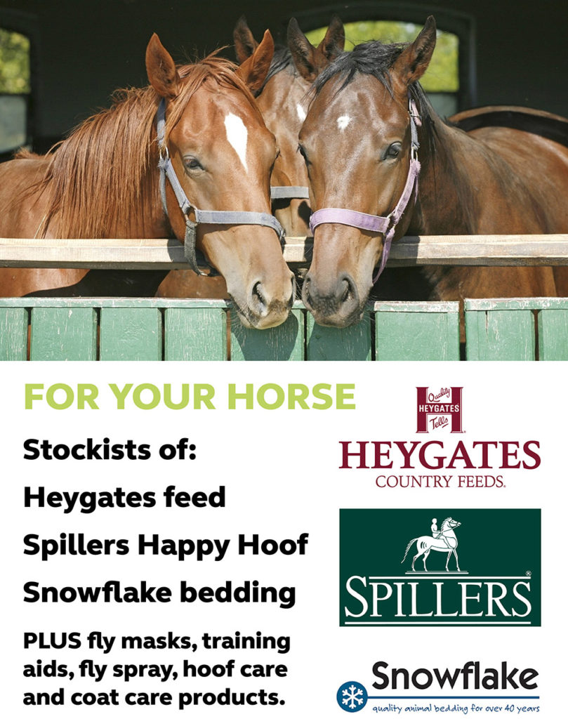 Autumn at our Marlborough Country Store T H WHITE Group