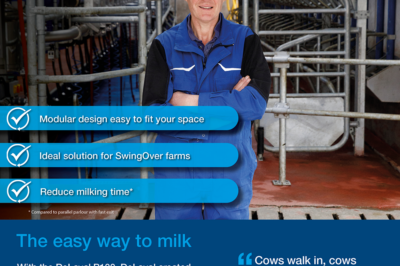 P100 parlour for easy milking