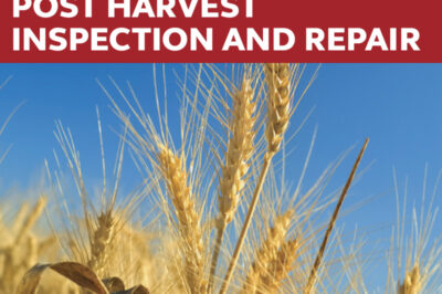 Don’t take a chance – get your hard-working grain handling machinery checked…