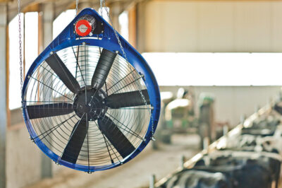 Keep your cows comfortable this summer with fans and fly control