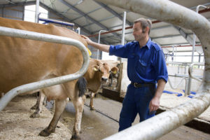 DeLaval Biomodel Body Condition Scoring