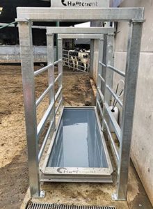 Hoofcount Standard Footbath