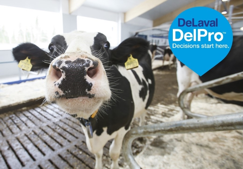DeLaval DelPro Cow and Decisions start here Logo
