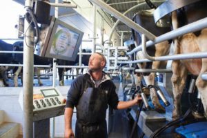 DeLaval Interactive Data Display in Use Milking