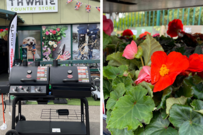 Summer & Autumn Offers