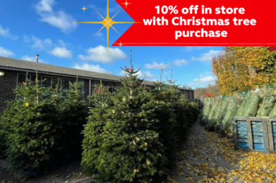 Country Store Christmas 2022