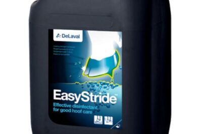 Introducing Easy Stride