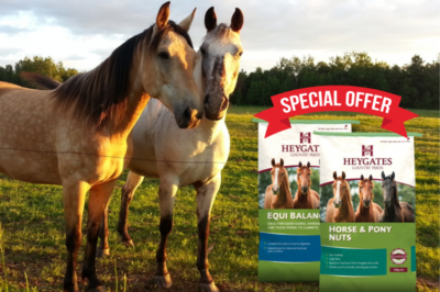 Discounts on Horse Feed and More at Marlborough Country Store