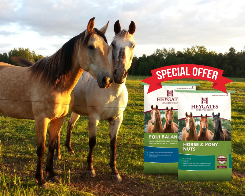 Discounts on Horse Feed and More at Marlborough Country Store