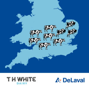 T H WHITE extends DeLaval territory