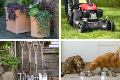 What’s in store this Spring at Marlborough Country Store