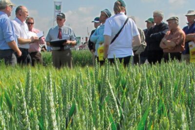 Get social with the T H WHITE team at these upcoming events