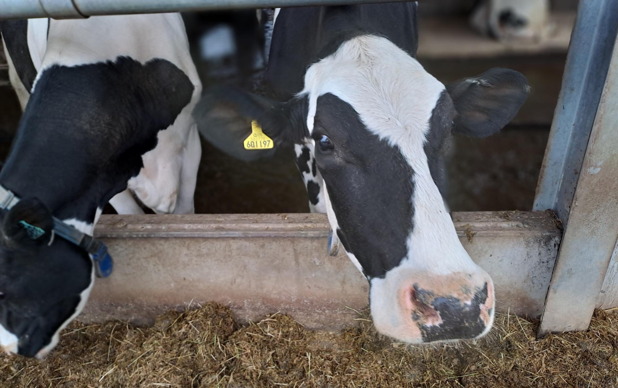 Delaval Equipment Eligible for Farming, Equipment & Technology Grant 2023