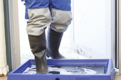 Farm Support for Bacterial Control