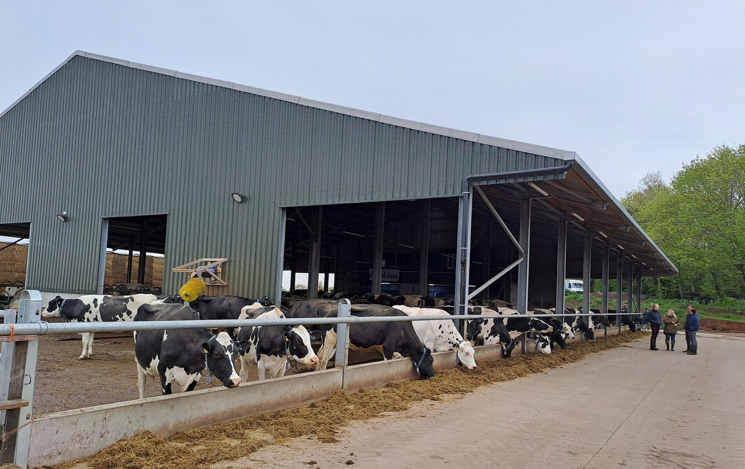 Slurry is easier with a robot