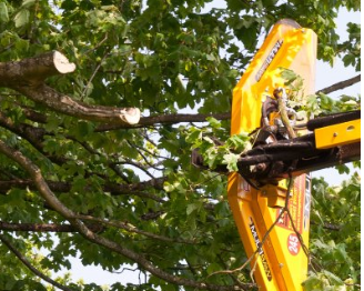 Power up for Hedge Cutting Season