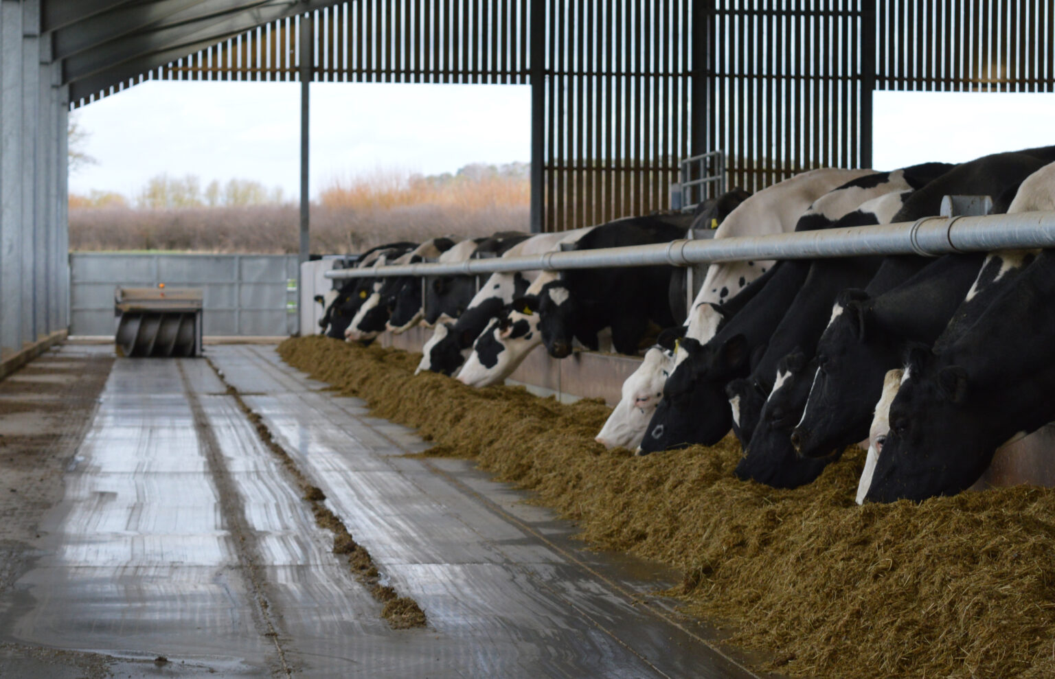 DeLaval’s robotic combination adds up for Addingrove Farm T H WHITE Group